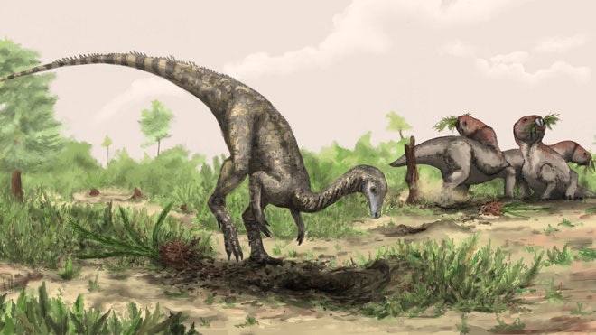 Oldest dinosaur Nyasasaurus.jpg
